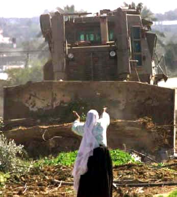 68__pal_woman_stopping_bulldozer.jpg
